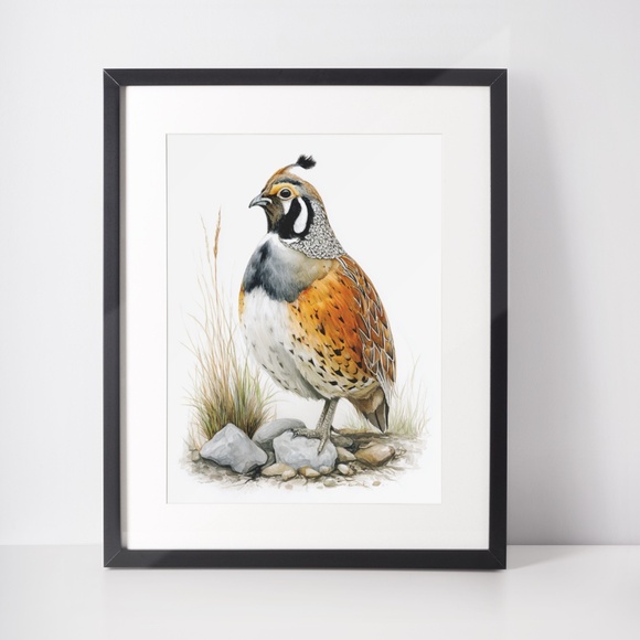 Watercolor Quail Wall Art Print, Unframed - Vibrant Nature-Inspired Home Decor - Picture 3 of 6